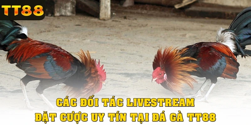 Các đối tác livestream đặt cược uy tín tại đá gà TT88
